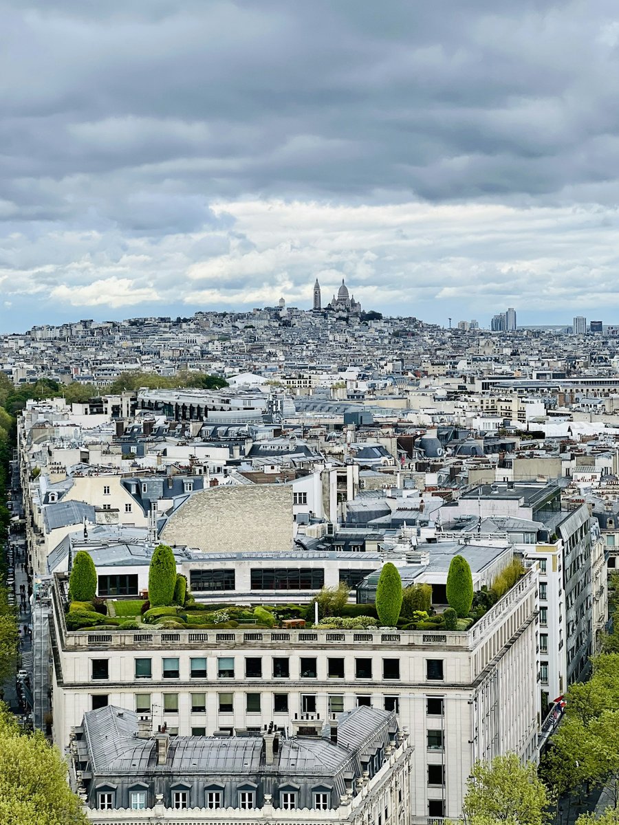 Les toits de Paris vus d'en haut, une terrasse plantée au premier plan et le Sacré-Cœur au loin